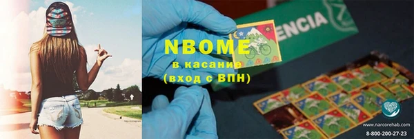 ГАЛЛЮЦИНОГЕННЫЕ ГРИБЫ Верея