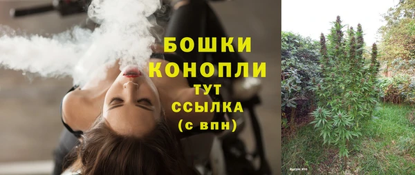 ГАЛЛЮЦИНОГЕННЫЕ ГРИБЫ Верея