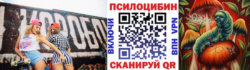 Псилоцибиновые грибы ЛСД  Динская 
