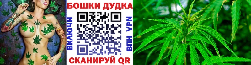 где продают наркотики  Динская  Канабис конопля 